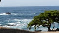 Rocky coast, ocean waves, cypress pine tree, 17-mile drive, Monterey, California Royalty Free Stock Photo