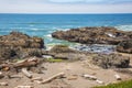 Driftwood and Rocky coastline in Oregon