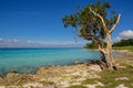 Rocky coast at playa Larga in Cuba