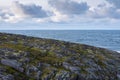 Rocky coast in the polar latitudes, harsh land