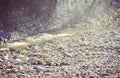 Rocky coast of the river. Landscape of countryside river