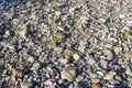 Rocky coast of the river. Landscape of countryside river