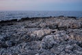 Rocky coast. Sharp stone rows, breaking waves. Majestic landscapes blue tint