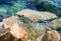 Rocky coast in the summer