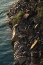 Rocky coast at sunset Royalty Free Stock Photo