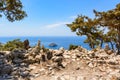 Rocky coast with wild vegetation Royalty Free Stock Photo