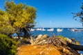 Rocky coast with woods of Ile Saint Honorat island of Abbaye de Lerins monastery offshore Cannes in France