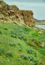 Rocky coast Zavkhan River Royalty Free Stock Photo