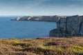 Rocky coastal cliffs with lilac heath on the Brittany coast Royalty Free Stock Photo