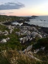 Rocky coastal path Royalty Free Stock Photo