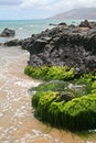 Rocky Coastline