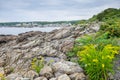 Rocky coastline on a cloudy day in Maine Royalty Free Stock Photo