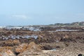 Rocky coastline in Kleinbaai Royalty Free Stock Photo