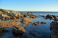 Rocky coastline at low tide below Heisler Park in Laguna Beach, California.