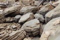 Rocky coastline with massive stones near Mangawhai Cliff Walk, Auckland, New Zealand