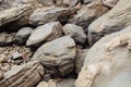 Rocky coastline with massive stones near Mangawhai Cliff Walk, Auckland, New Zealand