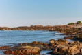 The rocky coastline of Ogunquit, Maine Royalty Free Stock Photo