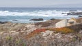 Rocky craggy ocean coast, sea waves, Monterey California. Wooden empty bench.