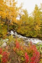 Creek bed in an Autumn landscape scene Royalty Free Stock Photo