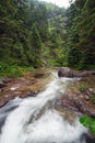 Rocky creek in Tatra mountains Royalty Free Stock Photo