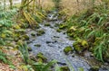 Rocky Des Moines Creek 3