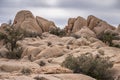 Rocky desert floor and boulders, Joshua Tree National Park, CA, USA