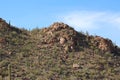 Rocky, desert mountain top covered in Saguaro, Cholla Cacti, Ocotillo and Palo Verde at Sus Picnic Area in Saguaro National Park