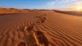 Rocky Dirt Field Royalty Free Stock Photo