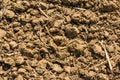 Rocky Farm Field Texture Dirt Rocks Background Brown Dead Royalty Free Stock Photo