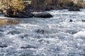 Rocky fast river. Running water, flowing with rapids Royalty Free Stock Photo