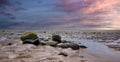 Rocky formation on Alnmouth beach, Northumberland Royalty Free Stock Photo