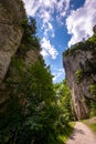 Rocky gorge with surrounding forest in the Piatra Craiului mountain range Royalty Free Stock Photo