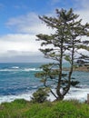 Rocky headlands and surf