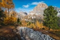 Rocky hiking trail and colorful larches in the Dolomites, Italy Royalty Free Stock Photo