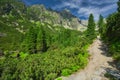 Rocky hiking trail in Mala Studena Dolina valley in High Tatras
