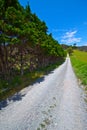 Rocky hiking trail - New Zealand