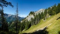 Rocky Hill with decidous forest in summer