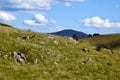 A rocky hillside by Coxs River Road near Hartley