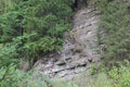 Rocky hillside with spruce trees and vegetation Royalty Free Stock Photo