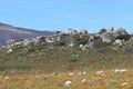 Rocky hilltop and fynbos