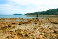 Rocky island coastal scenery during low tide at Besar Island or Pulau Besar in Mersing, Johor, Malaysia