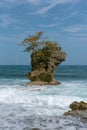 Rocky island with tree in Manzanillo coast, Costa Rica 2 Royalty Free Stock Photo