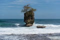 Rocky island with tree in Manzanillo coast, Costa Rica Royalty Free Stock Photo