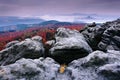 Rocky landscape during autumn. Beautiful landscape with stone, forest and fog. Sunset in czech national park Ceske Svycarsko. Mist Royalty Free Stock Photo