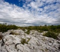 Rocky landscape of The Burren in County Clare, Ireland