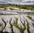 Rocky landscape of The Burren in County Clare, Ireland