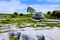 Rocky landscape of the Burren with boulder and limestone fields, Ireland