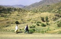 Rocky landscape of the Irob Tigray region, Ethiopia