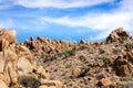 Rocky Landscape in the Desert