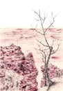 Rocky landscape with tree